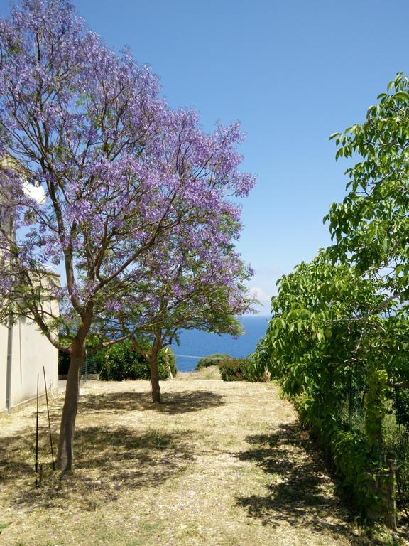 Bellavista Apartments Scopello  Szoba fotó